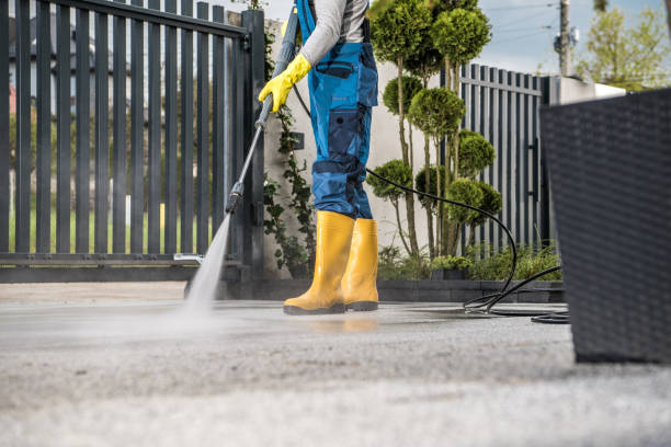 Best Driveway Cleaning and Restoration in Indian Hills, KY